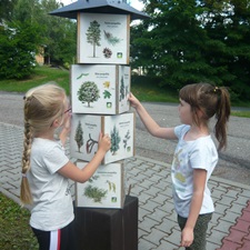 AKCJA LATO TRWA!