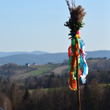 ZOSTAŃ SPONSOREM 63. KONKURSU LIPNICKICH PALM