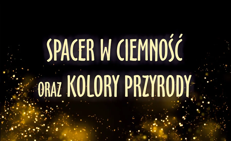 ZAPRASZAMY NA „SPACER W CIEMNOŚĆ”