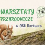 miniaturka przyroda GDK Lipnica Murowana