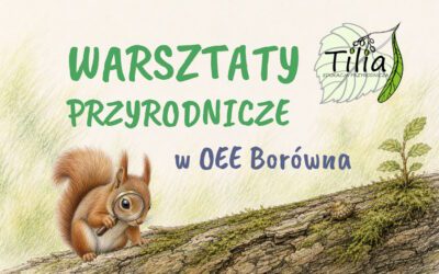 Warsztaty przyrodnicze w Borównej – wakacyjna przygoda pełna odkryć!