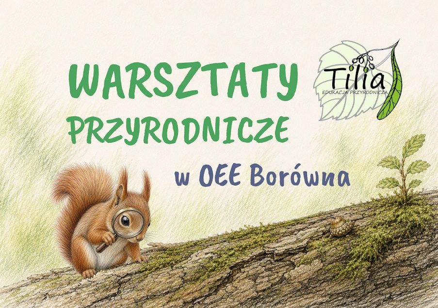 Warsztaty przyrodnicze w Borównej – wakacyjna przygoda w sercu natury!